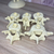 5 Vertebras Lumbares Escala 1:1 - comprar online
