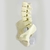 Pelvis Femenina Tamaño Real + Lumbares y Base - comprar online