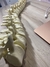 Columna Vertebral Articulada en internet