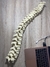 Columna Vertebral Articulada - comprar online