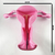 Aparato Genital Femenino 3D en internet