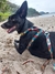 Peitoral H e Guia Tombalatas - Puzzle - loja online