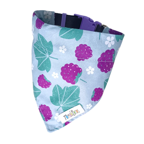 Coleira Bandana - Amoras