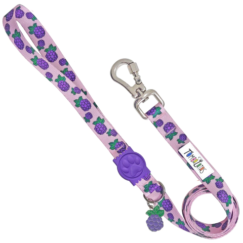 Guia Tombalatas - Amorinha - comprar online