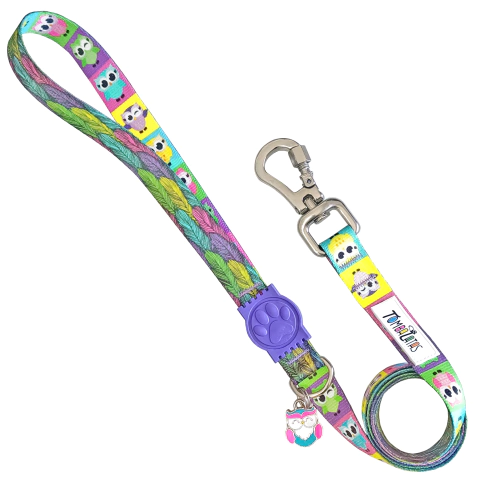 Guia Tombalatas - Coruja