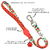 Guia Tombalatas - Joaninha - comprar online