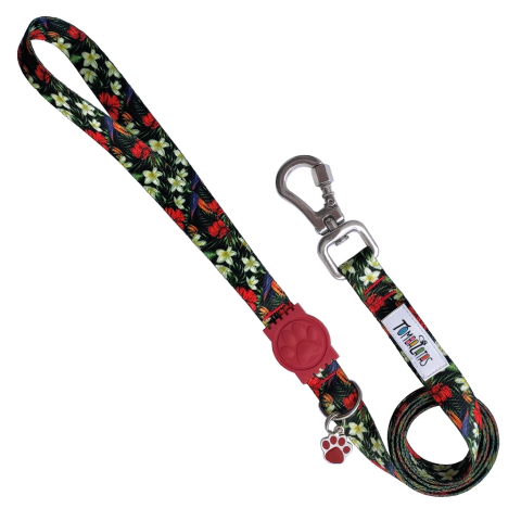 Guia Tombalatas - Primavera