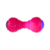 Mordedor Halter com Led na internet