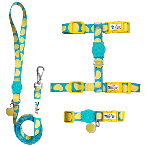 Kit Passeio Gatos - Citrus