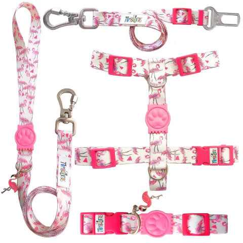 Kit Passeio Tombalatas - Flamingo