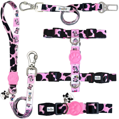 Kit Passeio Tombalatas - Vaquinha - comprar online