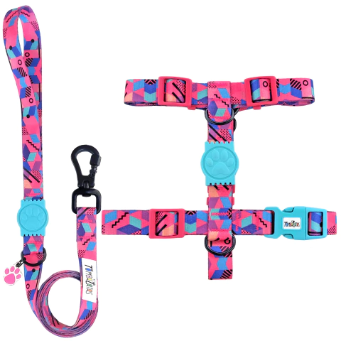 Peitoral H e Guia Tombalatas - Cubos Pink - comprar online