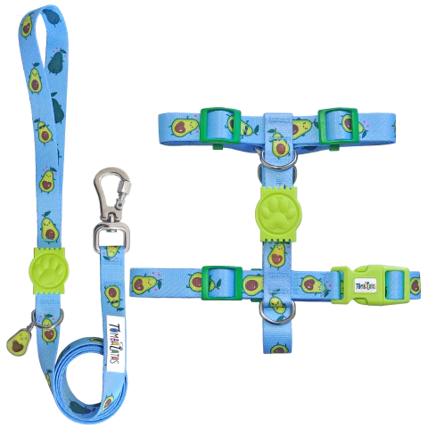 Peitoral H e Guia Tombalatas - Abacate - comprar online