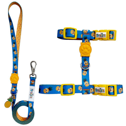 Peitoral H e Guia Gatos - Abacaxi