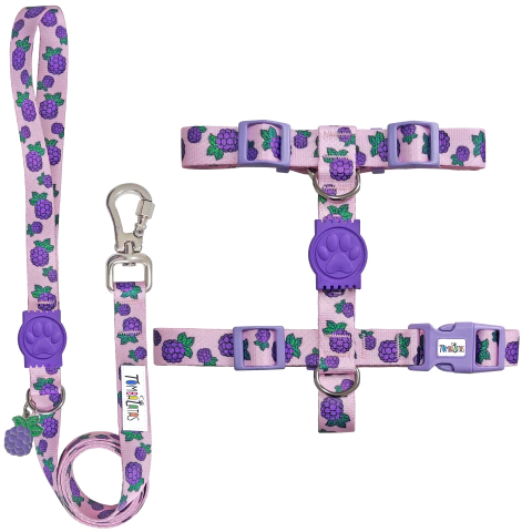 Peitoral H e Guia Tombalatas - Amorinha - comprar online