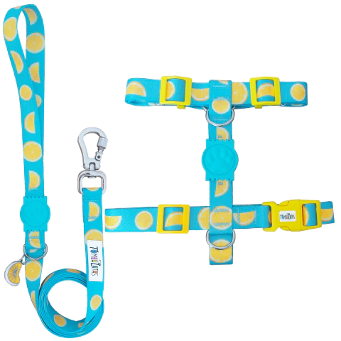 Peitoral H e Guia Tombalatas - Citrus - comprar online