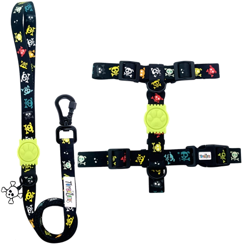 Peitoral H e Guia Tombalatas - Color Skull - comprar online