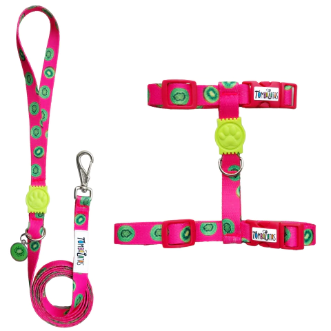 Peitoral H e Guia Gatos - Kiwi