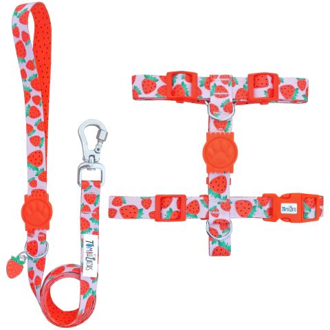 Peitoral H e Guia Tombalatas - Morango - comprar online