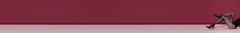 Banner de la categoría Catsuit