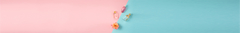 Banner de la categoría Perfumes