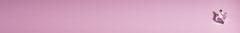 Banner de la categoría Para mujer