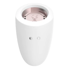 Kit 4 juguetes USB Satisfyer Marvelous en internet