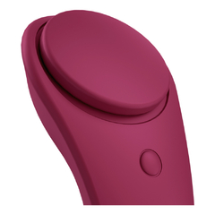 Kit Satisfyer Partner Secret + Double - comprar online