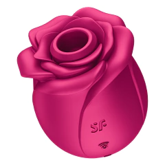 Succionador flor USB Satisfyer Blossom