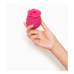 Succionador flor USB Satisfyer Blossom en internet