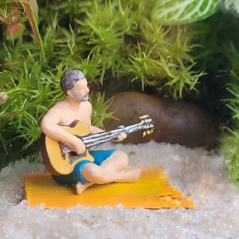 Homem Sentado no Chão Tocando Violão