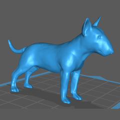 Bull Terrier
