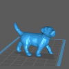 Filhote de Cachorro Caminhando