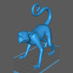 Macaco Aranha