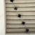 Pulsera Trebol Negro - Acero - comprar online