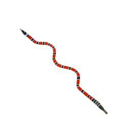 tepi cobra coral na internet