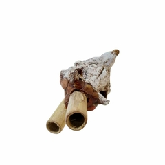 Kuripe Lobo Branco - Rezofolha
