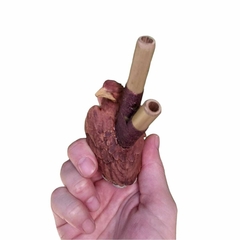 Imagem do kuripe Águia pousada