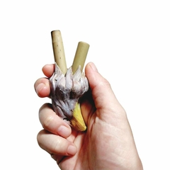 kuripe Águia (cabeça) - loja online