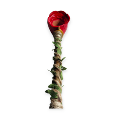 Cachimbo Rosa vermelha com folhas - comprar online