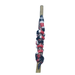 tepi com maraca de semente cobra coral 
