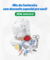 Imagem do banner rotativo 2