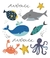 TatuFun - Fundo do Mar