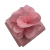 EMBALAGEM BEM-CASADO 10 UNIDADES MODELO FLORAL ELEGANCE ROSA BEBÊ - comprar online