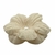MINI FLOR 50 UNIDADES MODELO FINESSE CREME ALGODÃO CRU - comprar online