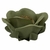 FORMINHAS 20 UNIDADES MODELO CLAIRE VERDE OLIVA CLARO - comprar online