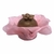 FORMINHAS 50 UNIDADES MODELO CAMÉLIA ROSA BEBÊ - comprar online