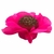 FORMINHAS 50 UNIDADES MODELO CAMÉLIA ROSA NEON - comprar online