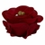 FORMINHAS 20 UNIDADES MODELO ROSE MARSALA CLARO - comprar online