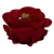 FORMINHAS 20 UNIDADES MODELO ROSE MARSALA CLARO - comprar online